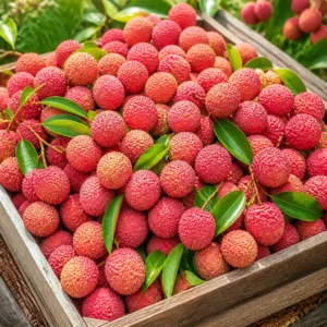 প্রাকৃতিক মিষ্টির লিচু
